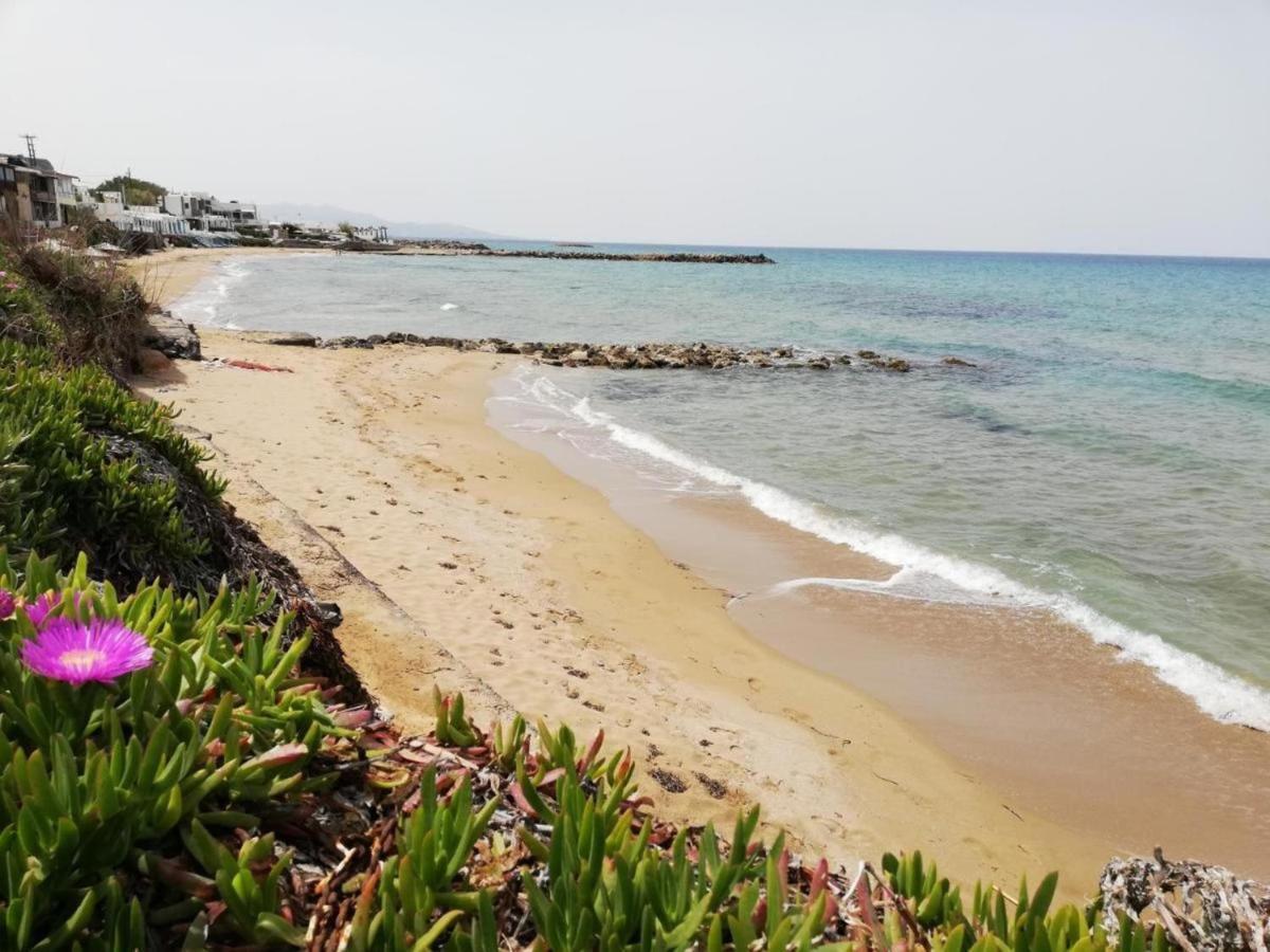 Panasia Seaview Apartments Kokkini Hani Luaran gambar